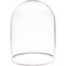 Plymor 4.5" x 6" Glass Display Dome Cloche with Silver Rim (no Base)